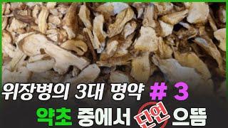 삽주뿌리의 효능 삽주먹는법 창출효능 백출효능