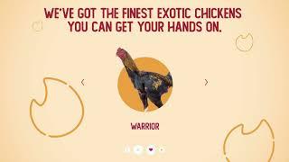 Exotic Chicks Are DYING to Meet You!  | Country Chicken Co.