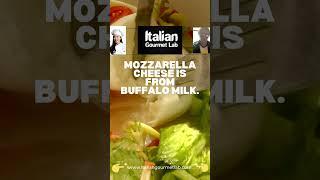 Buffalo Mozzarella Cheese