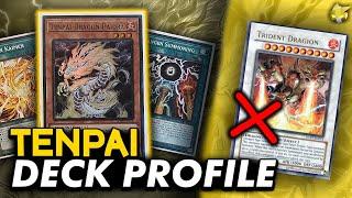 NO TRIDENT DRAGION NEEDED! Undefeated Budget-Friendly Tenpai Dragon Deck Profile | Yu-Gi-Oh!