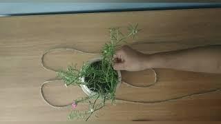 Simple DIY Hanging Planter in 5 Min | Hang Your Plant Pots