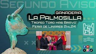 Especial 'La Palmosilla'. 'Trofeo Toro mas Bravo' Feria de #Linares 2024