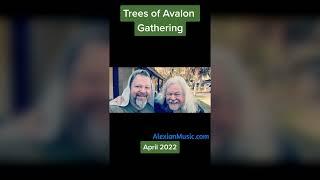 Trees of Avalon Gathering - April 2022 - Alexian