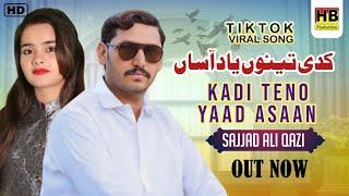 Kadi Teno Yaad Asaan | New Punjabi Songs 2024 | Sajjad Ali Qazi | HB Production | (Official Video)