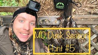 Maryland Public Land Duck Hunting - #5