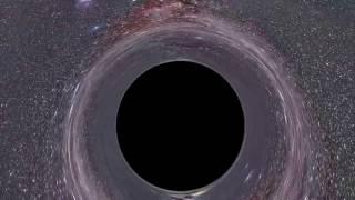 Journey Into A Schwarzschild Black Hole