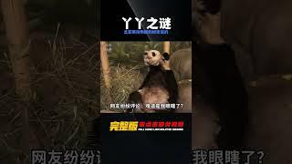 “丫丫”為何不能提前回國，孟菲斯動物園所作所為，有什么目的？ #神秘老樹 #案件 #探案 #懸案 #懸疑