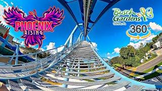 VR 360 Phoenix Rising Roller Coaster On Ride Front Seat POV Busch Gardens Tampa 2024 09 21