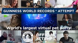 Introducing Behind the "MEOW"-sic & the world's largest virtual pet party