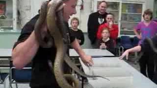 Snakeman survives bite from world's deadliest snake