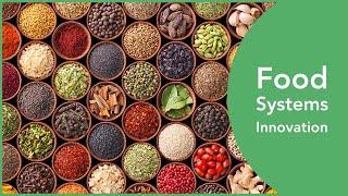 Food Systems Innovation