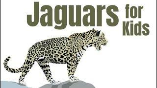 Jaguars for Kids