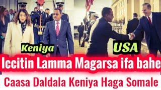 OMN: ODDU AMME- Iccitin Lamaa Magarsaa Ifa Bahe || Caasa Daldala Keniya Hanga Somale || Moha oromo
