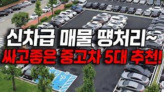 우리도 가격 전쟁합니다. 이럴땐 싸고 고장없는 중고차 사세요! 지금부터 10년 넘게 탈 수 있는 미친 가성비 매물 5대 추천! 300만원대 부터~?!