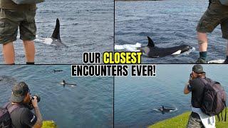 Our CLOSEST Encounters with KILLER WHALES in the UK!