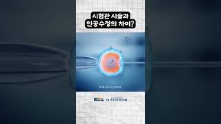 시험관 시술과 인공수정의 차이? #shorts