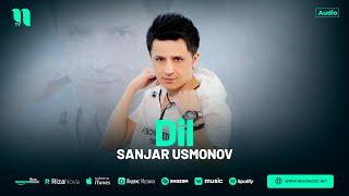 Sanjar Usmonov - Dil (audio 2024)