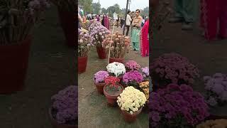 Jilani park flower exhibition 2023 / #racecoursepark #lahore #flowerexhibition #jilanipark #flowers