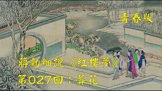 蒋勋细说红楼梦第027回：葬花（青春版）带字幕