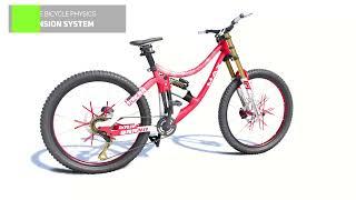 Suspension System Simulation for Mountain Bicycles