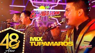 Mix Tupamaros: Te Necesito, Todo El Mundo Necesita Un Beso, Sufro Por Este Amor - Caribeños