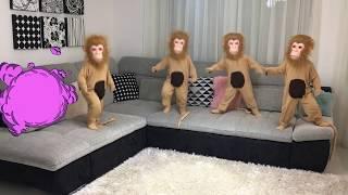 Five Little Monkeys Jumping On The Bed | Children Nursery Rhyme | Kids Song