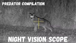 Predator Hunting COMPILATION with Night Vision Scope