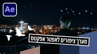 מערך ציפורים לאפטר אפקטס