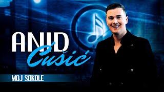 ANID CUSIC & BUCOLICI BAND - MOJ SOKOLE (COVER 2024)