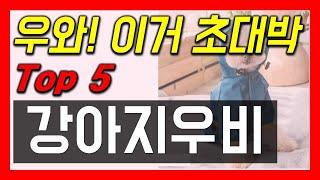 강아지 우비 추천! 2023년 인기 많고 가성비 끝내주는 예쁜 옷 최신버전 순위 베스트5