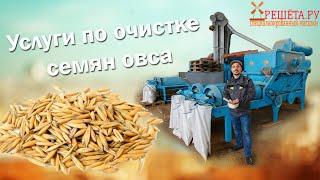 Услуги по очистке семян овса . Решёта Ру