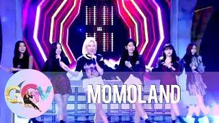 Momoland performs on GGV stage | GGV