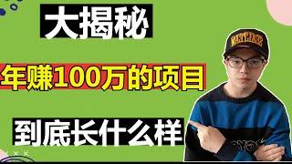 【网赚思维】揭秘：年赚100万的项目，到底长什么样？ || “真正赚钱的项目谁会分享出来？”你也有这种困惑吗？（副业生财100问1）