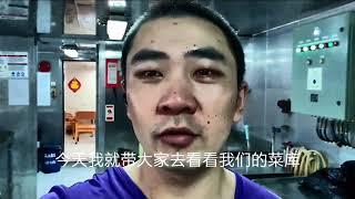 船员生活大揭秘:怎么保存蔬菜真的成为远洋货轮的难题吗？今天告诉你我们用什么方法保存蔬菜