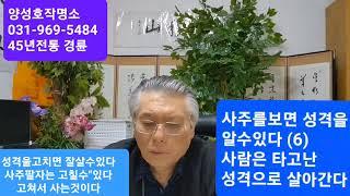 일산작명소 일산철학관 #사주를보면성격을알수있다(6)#성격을고치면잘살수있다  무편집강의 #사주는고쳐서사는것이다