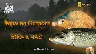 Гайд, как много фармить на оз. Старый Острог | Русская Рыбалка 4 | РР4 MAYLO