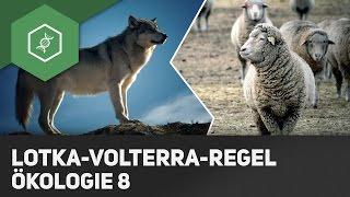 Lotka-Volterra-Regeln - Ökologie 8