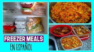 COMIDAS PARA CONGELAR/FREEZER MEALS EN ESPAÑOL/LOS ROLES DE EDY