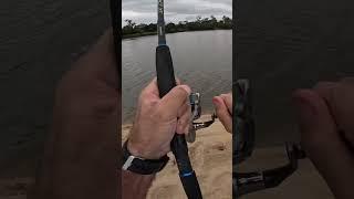 Hour River Mouth Fishing Challenge   How many Species Can I Catch ##rivermouth##cairns