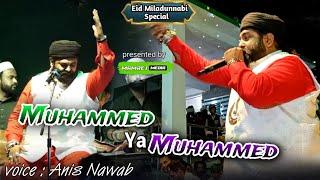 Jashne Eid Milad Un Nabi Qawwali 2024 | Muhammed Ya Muhammed | Anis Nawab | Dandegao Qawwali 2024