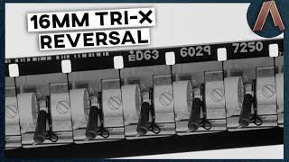 Developing 16MM TRI-X Reversal Film at Home