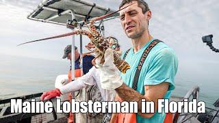 Lobster Fishing in the Florida Keys! (Catch and Cook!)