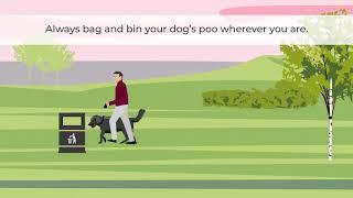 Bag and bin your dog’s poo