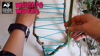 Wildlife Wednesday: How to do natural weaving!