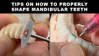 Tips on how to Properly Shape Mandibular Teeth