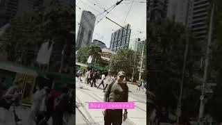 Busy city central Melbourne/ 호주살이/멜번 센트럴