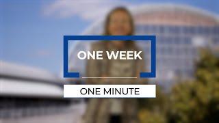 One Week, One Minute: Cohesion policies and green cities