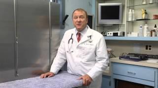 SmartTag: Dr. B Voynick Veterinarian