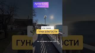 ЧТО ТАКОЕ ГУНА БЛАГОСТИ? l Нумеролог Артем Блок