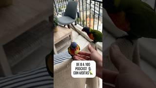 Animales sueltos en el Podcast 